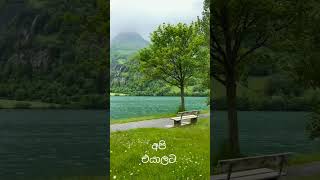 adara wadan wadan love quotes adare sinhala wadan [upl. by Cyna]