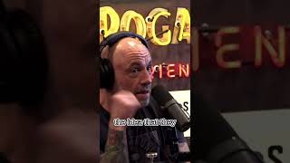 Quantum Entangled Photons  Yin amp Yang  Joe Rogan and Sebastian Junger on JRE [upl. by Asyral147]