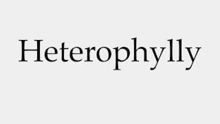 How to Pronounce Heterophylly [upl. by Lewanna]