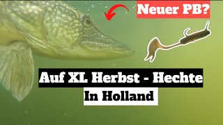 Auf XL Hechte in Holland  Herbstzeit heißt Hechtzeit [upl. by Rinum115]