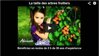 Verger La taille des arbres fruitiers bénéficiez en moins de 2 h de 30 ans dexpérience [upl. by Pebrook238]