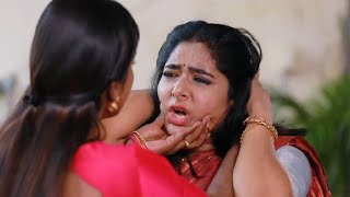 Panivizhum Malar Vanam  Today Episode Promo  02nd October 2024 [upl. by Marciano532]