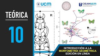 Curso MG Clase Teórica 10  Filogenia y Evolución [upl. by Accalia]