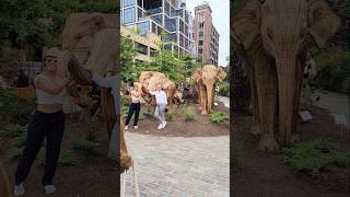 100 Life Size Elephants In New York City 🐘🐘🐘 exhibition travel nyc wood show up shorts asmr [upl. by Econah]