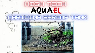 High Tech Caridina Shrimp Tank [upl. by Anitsyrk518]