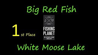 Fishing Planet 1st place White Moose Lake Big Red Fish Competition [upl. by Aihsenrad640]