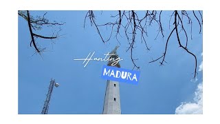 Hunting Madura [upl. by Zitvaa]