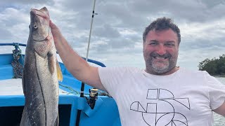 Una giornata di pesca pazzesca nell’oceano Pacifico [upl. by Willet659]