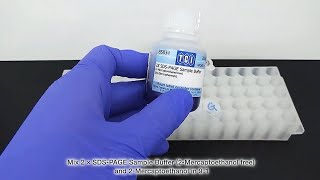 SDSPAGE Sample Preparation Protocol Using Reducing Reagent [upl. by Britta73]