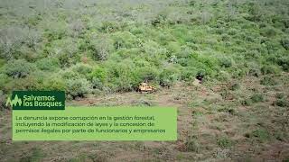 🎥 ¡Atención En Chaco la lucha por los bosques nativos toma un nuevo rumbo 🌳 [upl. by Ja606]