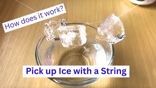 Pick up Ice with a String Experiment  How does it work [upl. by Ahtanamas103]