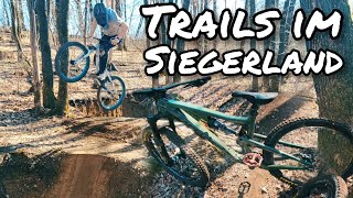 360s und Trails im Siegerland  4K  Trail Büffel [upl. by Japeth387]