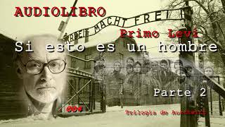 Audiolibro  Si esto es un hombre  Primo Levi  Voz Real  Parte 2 [upl. by Yelik]