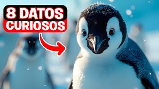 Descubre 8 Datos Fascinantes sobre los Pingüinos que No Sabías🐧 [upl. by Iniretake]