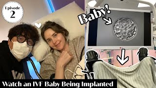 IVF Egg Retrieval amp Embryo Transfer  Our Fertility Journey Episode 2 [upl. by Egreog]