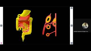 Embriología Gastrointestinal [upl. by Bijan]