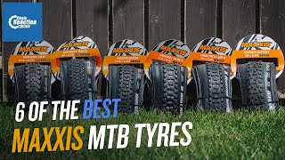 6 of the best Maxxis MTB Summer Tyres  CRC [upl. by Ellesirg]