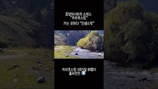 대자연 의 광활함 가는곳 마다 인생스팟 여기는 카자흐스탄 콜사이호수 가는길 여행 travel [upl. by Violeta]