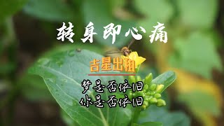 吉星出租  转身即心痛「情是否依旧 心是否依旧 偏爱是否依旧」歌曲 乡野田间 [upl. by Lopez249]