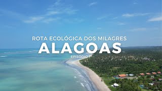 ALAGOAS EP 1  ROTA ECOLOGICA DOS MILAGRES  PRAIA DE TATUAMUNHA  CASA TATU  PORTO DE PEDRAS [upl. by Nnyllaf]