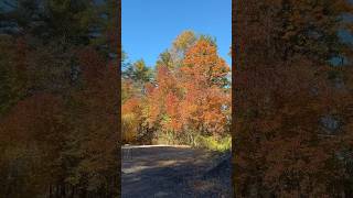 My New Hampshire property in the fall time [upl. by Tabbi]