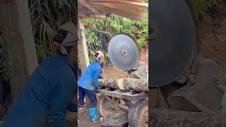 Eucalyptus wood circular saw cutting process Good tools and machinery can increase work efficiency [upl. by Willamina147]