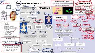 Obstetricia  6 ISOINMUNIZACIÓN RH [upl. by Nednarb579]