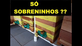 porque uso só sobreninho [upl. by Silvio]