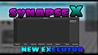 HOW TO DOWNLOAD THE LATEST SYNAPSE XIT IS WORKINGEXECUTOR ROBLOX 2024 [upl. by Rednasela977]