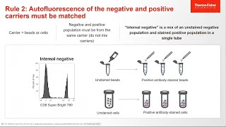 Basics of Using Compensation Beads for Flow Cytometry Experiments [upl. by Alimhaj]