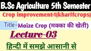 Crop Improvement1kharif Crops   Lecture03 Cultivation of Maizeमक्के की खेती BSc Ag 5th Sem [upl. by Crowe]