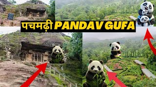 pandva Gufa panchmarhi  pandva Gufa kahan per hai  pandva🐼 [upl. by Purse]