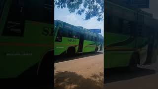 SRPS Sri Ram Popular bus Tirunelveli to Thiruchendur10 [upl. by Bocoj866]