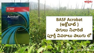 BASF Acrobat Fungicide in Telugu  అక్రోబాట్ తెగులు నివారణి పూర్తీ వివరాలు తెలుగు లో [upl. by Agace927]