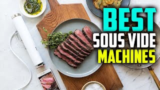 7 Best Sous Vide Machines Reviews 2024 [upl. by Aivax]