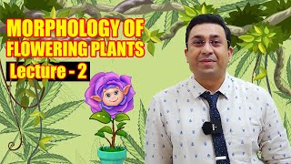 Morphology of Flowering Plants l lecture 2 l Biology l NEET [upl. by Lamiv]