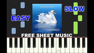 SLOW EASY piano tutorial quotTHE SWANquot from The Carnival of the Animals with free sheet music pdf [upl. by Brader]