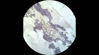 Pleochroism and color tutorial Optical mineralogy [upl. by Aimet]