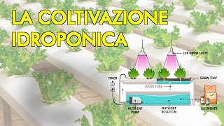 Coltivazione IDROPONICA senza TERRA  cosè e come funziona [upl. by Arakat399]