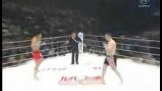 Mirko Cro Cop Filipović VS Tatsuya Mizuno [upl. by Eecal]