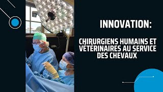 Chirurgiens humains et vétérinaires sentraident pour sauver des chevaux Video 🇫🇷 amp 🇬🇧 1m 35s [upl. by Cynarra]