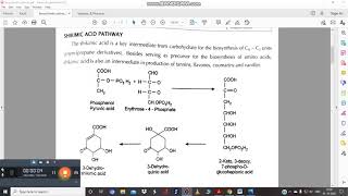 Biosynthetic Pathways part 3 [upl. by Yesnyl]