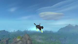 TWW Skyriding Animations [upl. by Enneira]