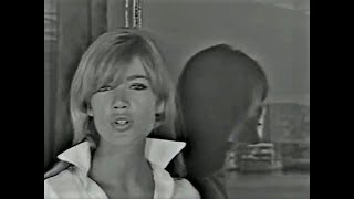 Françoise Hardy  Voila 1967 [upl. by Tracay]