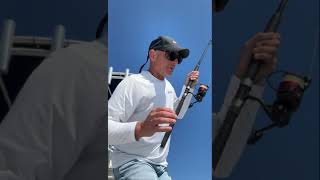 Striped bass fishing out of Manasquan Inlet ￼ [upl. by Norina748]