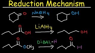 NaBH4 LiAlH4 DIBAL Reduction Mechanism Carboxylic Acid Acid Chloride Ester amp Ketones [upl. by Aubarta718]