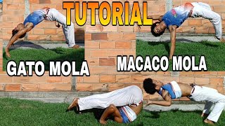 capoeira Tutorial 47 Macaco mola  Gato Mola  Flic Flac mola  Kick up  Suicídio [upl. by Airom422]