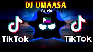 DJ SAD BASS  UMAASA X CALEIN X TIKTOK VIRAL SLOWED BASS ANALOG 2024 REMIX [upl. by Nagad]