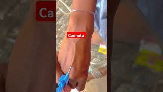 music islam cannula korar niom cannula kivabe korehighlights nursingstudent nursing [upl. by Ahseikal]