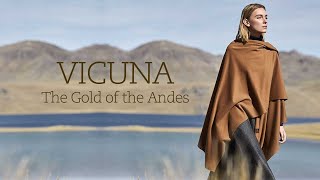 Vicuna  The worlds finest Natural Fiber  Alpaca Collections [upl. by Archambault594]